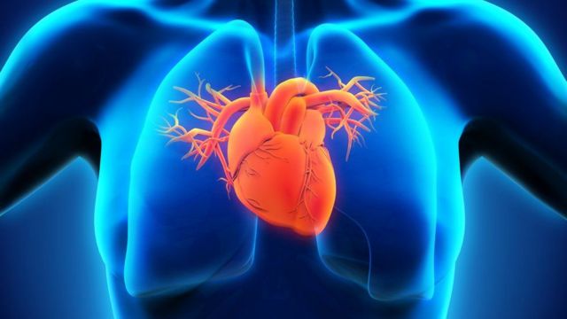 primeros auxilios en un ataque al corazón